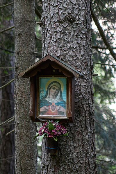 Datei:MA 13 kirchweg-0456-2023-06-09.jpg