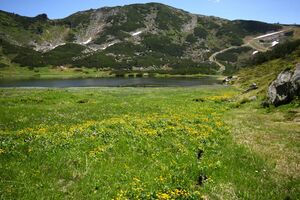 Plannersee 65262 2014-06-26.jpg