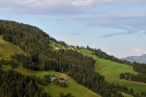 Riesner rüpeter schattenberg-0193-2023-08-25.jpg