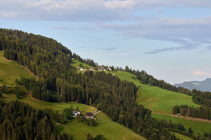 Datei:Riesner rüpeter schattenberg-0193-2023-08-25.jpg
