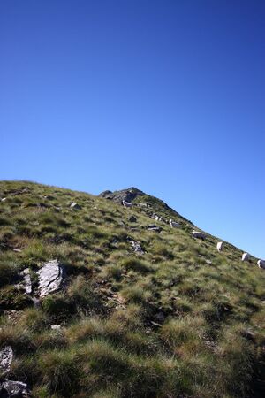 Spateck 94995 2015-07-11.jpg