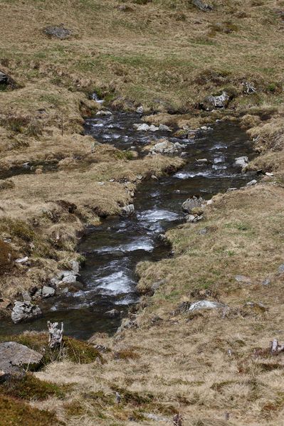 Datei:Strickerbach im strickerkar 55451 2014-05-02.jpg