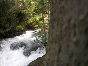 Untertalbach 7242 2007-06-30.jpg