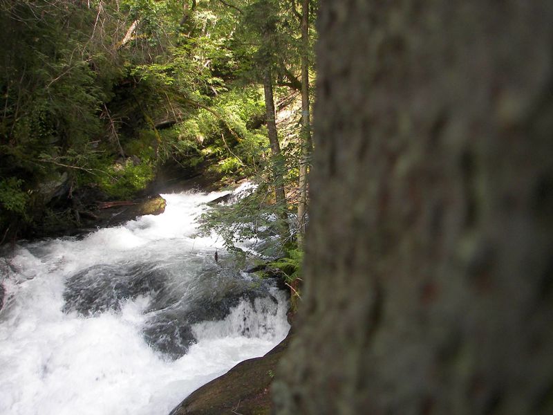 Datei:Untertalbach 7242 2007-06-30.jpg