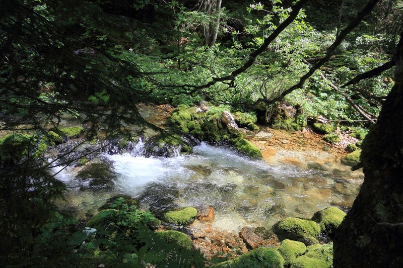 Datei:Zimitzbach grundlsee 77288 2018-06-04.jpg