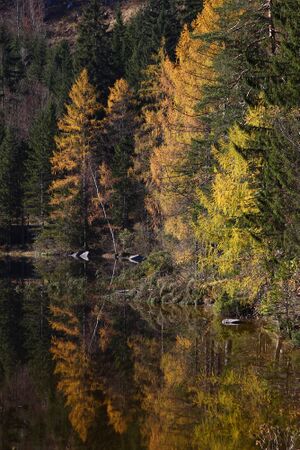 Ödensee 78043 2014-11-03.jpg