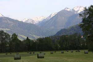 Enns-Altarm Niederstuttern 58443 2014-05-21.jpg