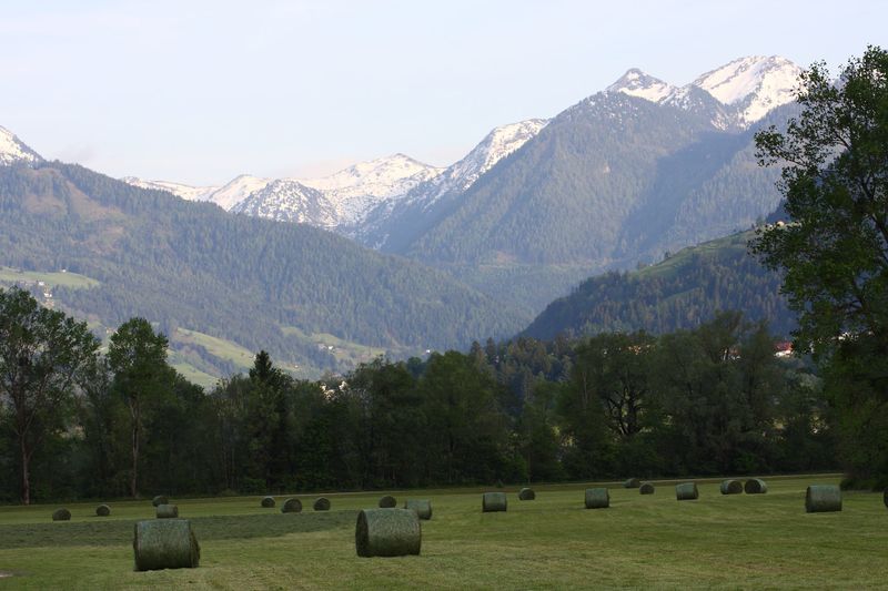 Datei:Enns-Altarm Niederstuttern 58443 2014-05-21.jpg