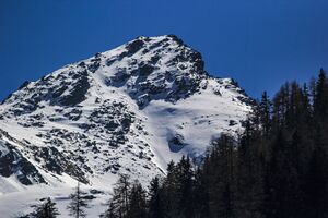 Farmrieseck -untertal 14059 2019-04-19.jpg