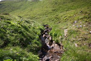 Glatt 1143 13-08-06.jpg