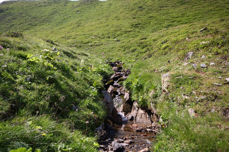 Datei:Glatt 1143 13-08-06.jpg