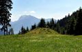 Hollingalm 1130565.JPG