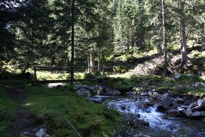 Neualmbach kleinsölk 72491 2014-09-17.jpg