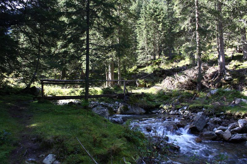 Datei:Neualmbach kleinsölk 72491 2014-09-17.jpg