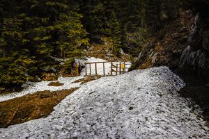 Obere koderboden-1020-2020-05-18.jpg