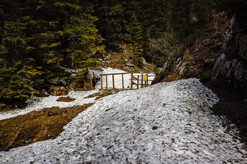 Datei:Obere koderboden-1020-2020-05-18.jpg