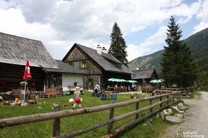 Perneralm0010.jpg