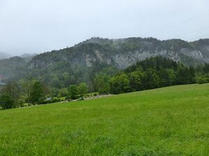 Schaufelbachmure 58146 2014-05-18.JPG