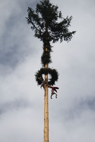 Datei:Stainach maibaum6499.JPG