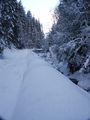 Talbachklamm 05-02-04 7963.jpg