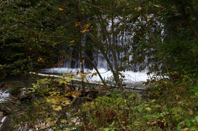 Datei:Teufelsschlucht Seewigtal 73291 2014-10-02.jpg