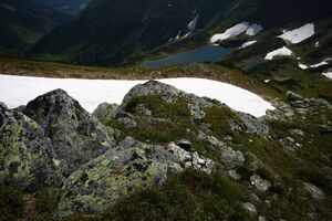 Untere riednersee 65430 2014-06-26.jpg