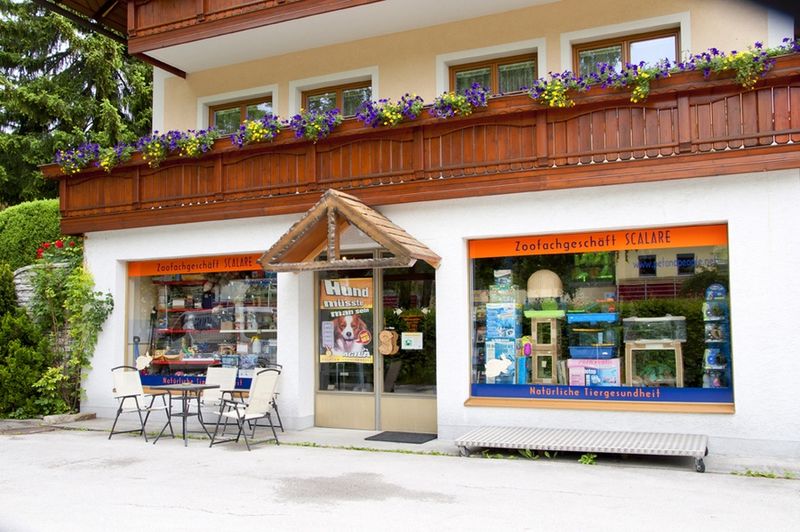 Datei:Zoofachhandlung SCALARE.jpg