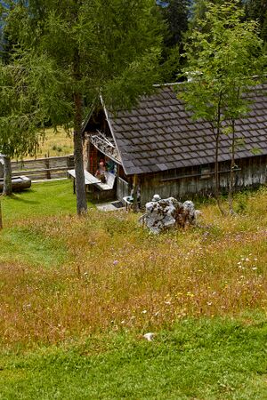 Bärenfeichtenalm-3215-2021-08-03.jpg