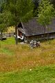 Bärenfeichtenalm-3215-2021-08-03.jpg