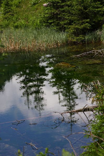 Datei:Bodensee seewigtal 63510 2014-06-21.jpg