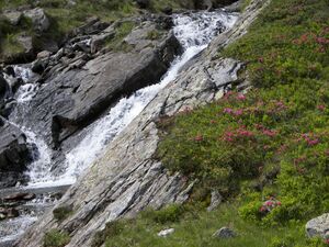 Duisitzkar 15967 2006-07-03.jpg