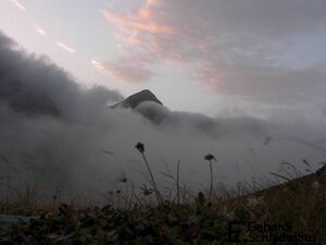 Engelkarsp100 7968.jpg