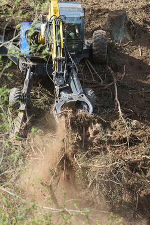 Föhnsturm Haus-0298-2024-04-06.jpg