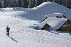 Fahrlechalm 58001 2012-03-20.jpg