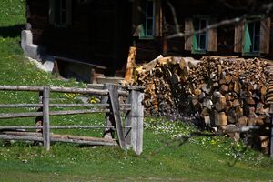 Gasthaus Hopfriesen 54259 2014-04-25.jpg