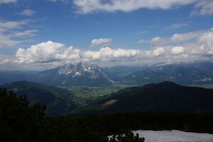 Grimming mölbegg 84773 2014-06-18.jpg