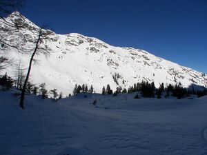 Herzmaierkar 46549 2006-01-29.jpg