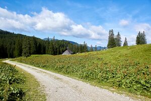 Humlechneralm neuburgalm-2000-2021-07-03-3.jpg