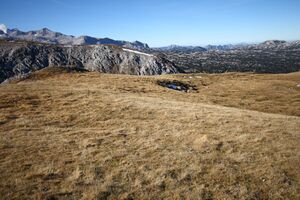 Kl graf.miesberg 13882 2015-11-11.jpg