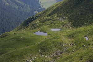 Krottenseen 1003 13-08-05.jpg