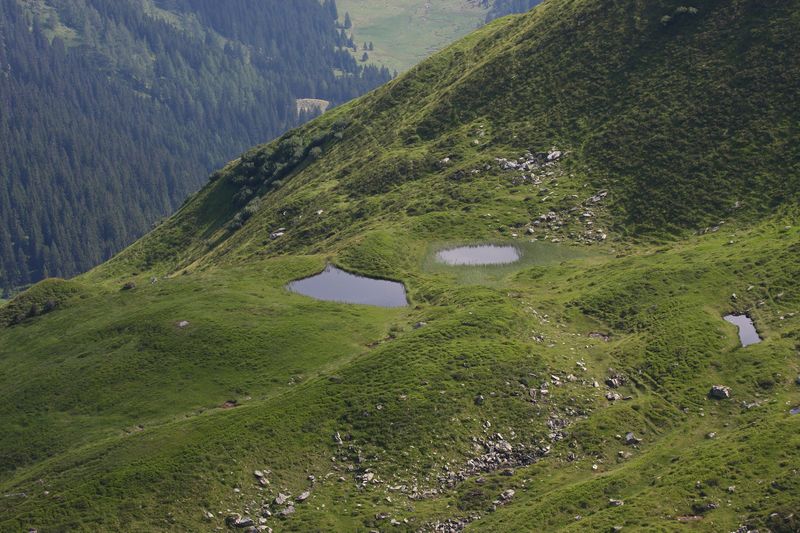 Datei:Krottenseen 1003 13-08-05.jpg