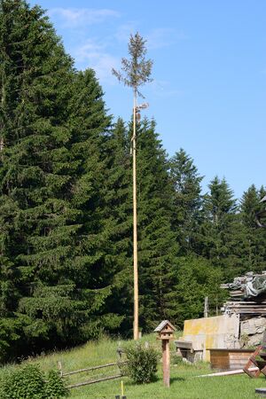 Maibaum vlg Hochberger-0571-2023-06-14.jpg