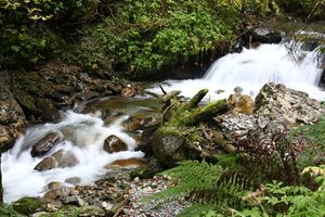 Teufelsschlucht Seewigtal 73342 2014-10-02.jpg