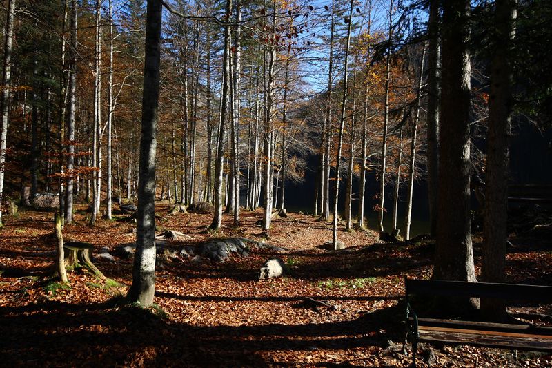 Datei:Toplitzsee 78162 2014-11-03.jpg