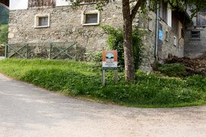 Vlg mojer wieden 4-1000-2023-06-16.jpg