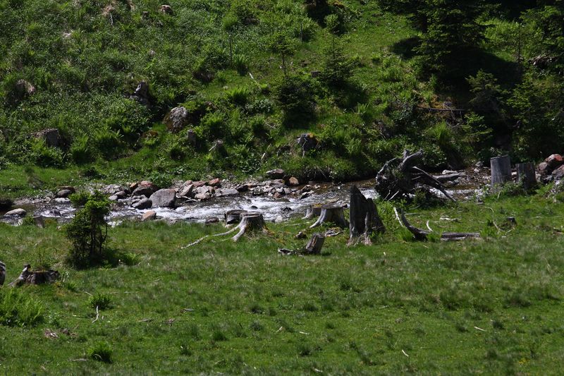 Datei:Beireutbach 90282 2015-06-08.jpg