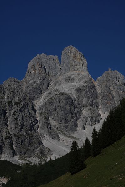 Datei:Bischofsmütze 36830 2011-09-11.jpg