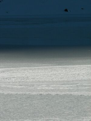 Buckelkarsee 3429 2006-11-08.jpg