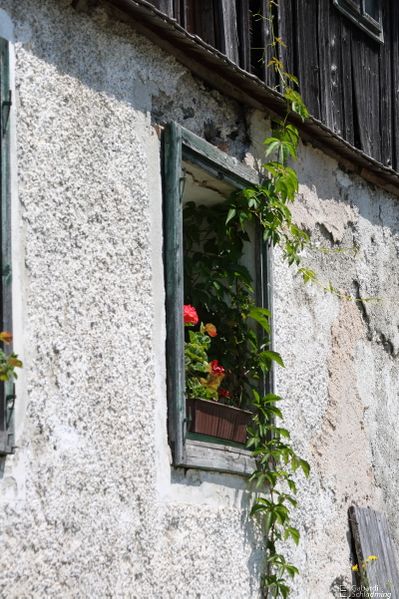 Datei:Edling 0466.jpg