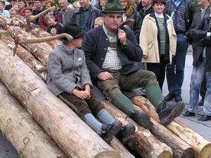 Erntedankfest in Donnersbach 2004 Holztransport mit Holzknecht.JPG